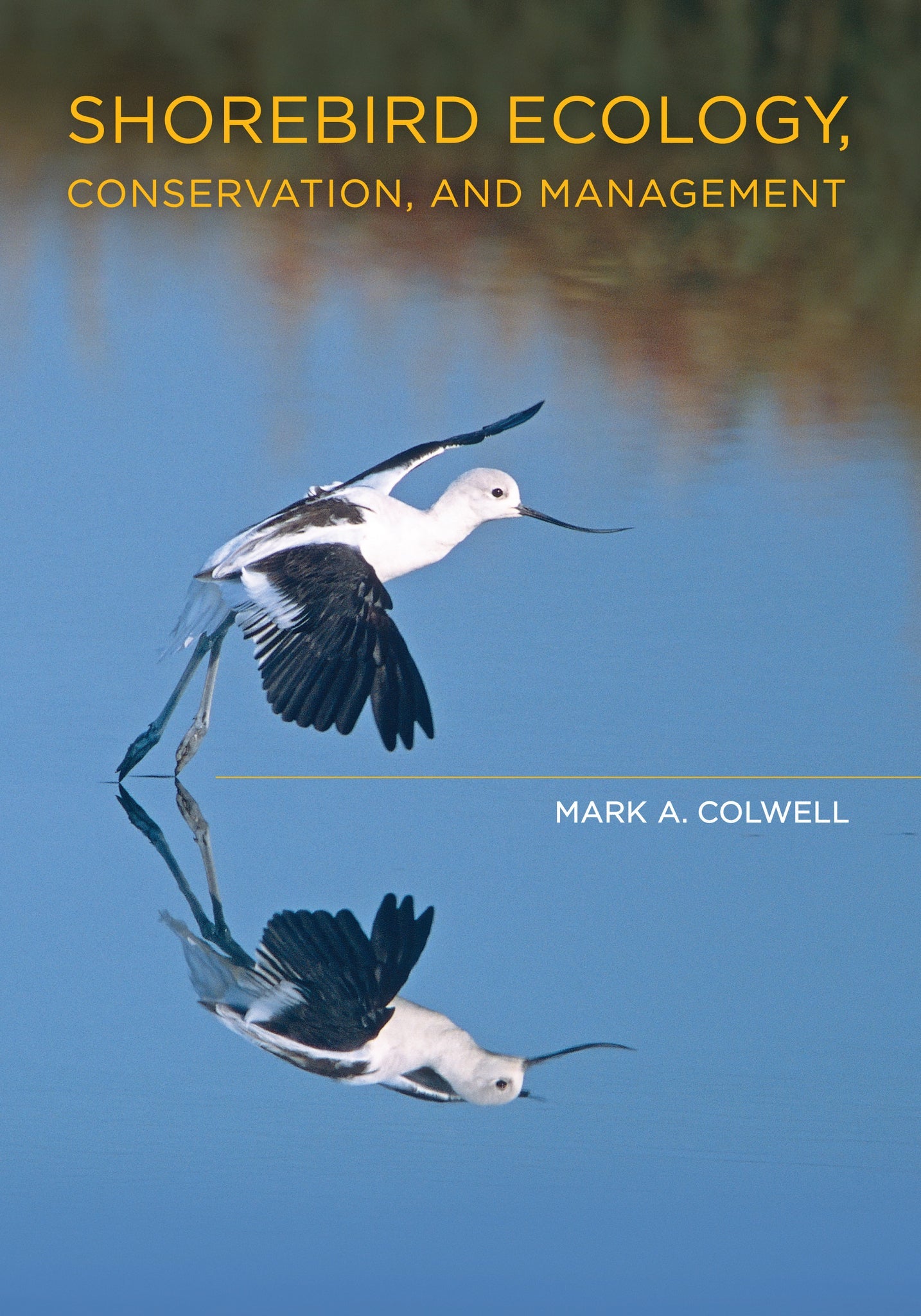 Cover image for Shorebird Ecology, Conservation, and Management ISBN 9780520947962